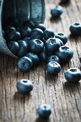 Blueberry