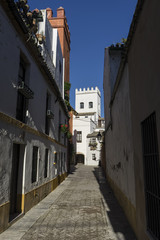 Naklejka premium Calle Agua, Sevilla