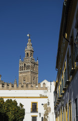 Fototapeta na wymiar Monumentos de la ciudad de Sevilla, la giralda