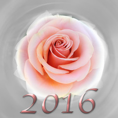 Rose 2016