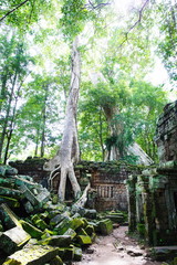 Cambodian temple ruins