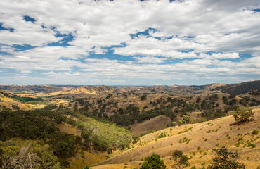 Fototapeta na wymiar High Country, Foresty Valley, Victoria, Australia