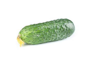 Fresh cucumber isolated on white