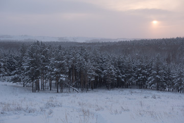 Sunrise in winter forest, Urals, Russia
