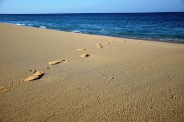 Los Cabos - beach (Mexico)