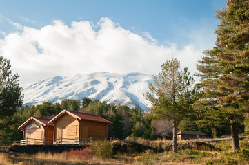 Northern side of Mount Etna with some pine trees, two wooden refuges and the snowy crater in the background