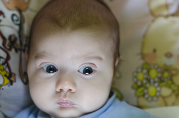 A cute little baby is looking into the camera