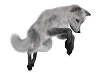 White fox hunting - 3D render