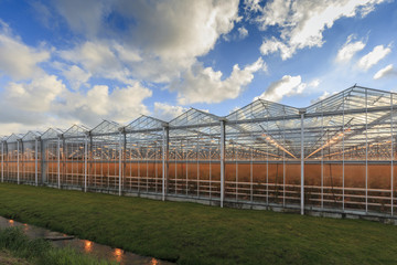 side view of an agricultural greenhouse against a moody sky