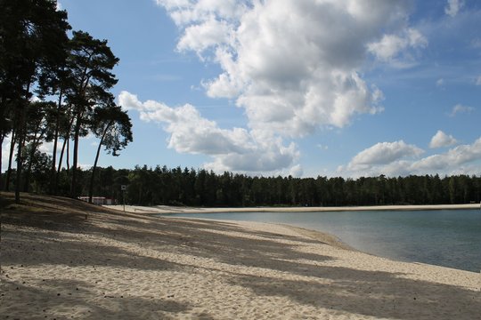 beautiful beach-lake near Utrecht in the Netherlands, surrounded by pine forest with lots of shade and lawns. Henschotermeer лаке surroundings of Utrecht  near Amsrerdam in the Netherlands