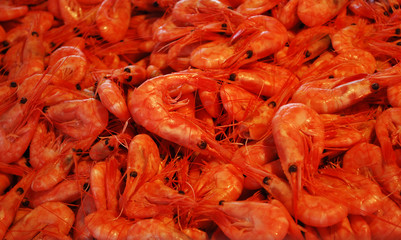 Shrimps/Photo of shrimps at a seafood market in Bergen, Norway