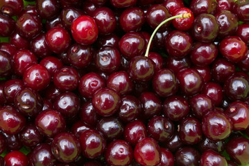 Background of ripe cherries