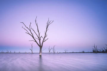 Fototapeta premium Lake Bonney, South Australia