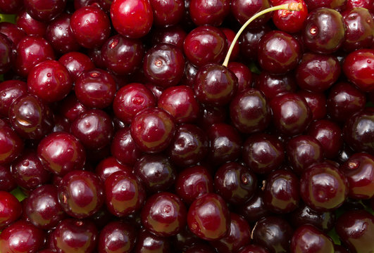 Background of ripe cherries