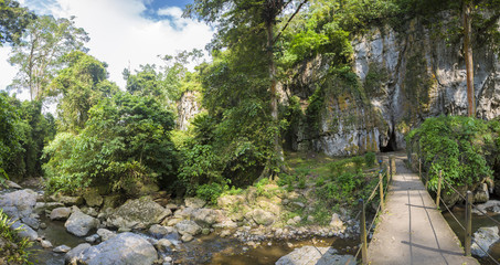 Devil's Cave, canopy and forest in Merida State