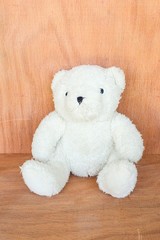 teddy bear doll on wood floor