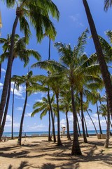 ワイキキビーチ