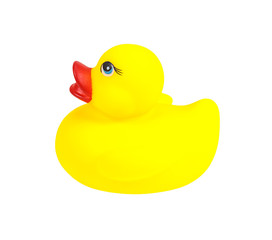yellow rubber duck toy isolated on white background, clipping pa