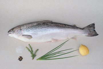 Raw salmon fish on table