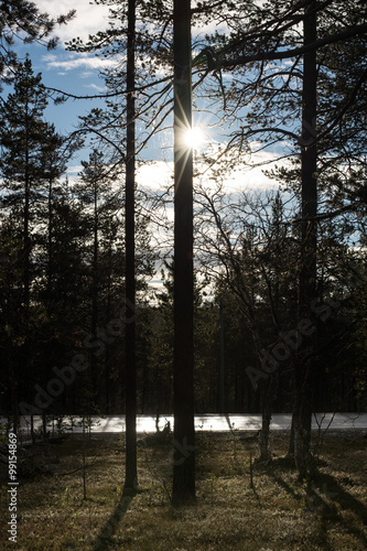 the arctic circle finland stock photo and royalty free images on