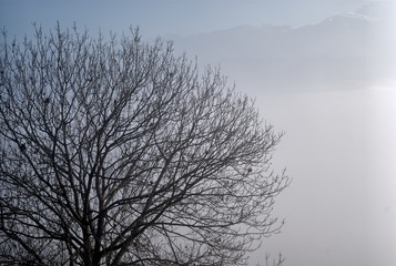Massif de la Chartreuse.