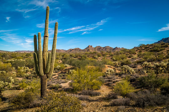 Superstition Mountains Arizona © jon manjeot