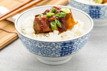 Barbecue-Tofu mit Reis - barbecue tofu with rice