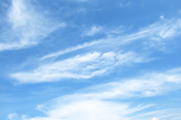 Obraz premium blue sky