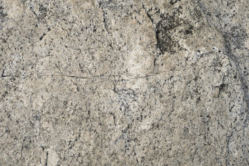 Surface of stone. Texture of black, brown and white stone for background.