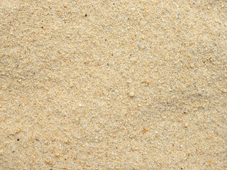 Beach sand grain