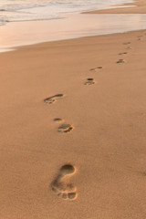 footprints on sandy beach at sunrise