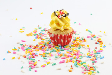Mini Cup Cake