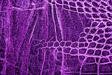 Crocodile leather texture background
