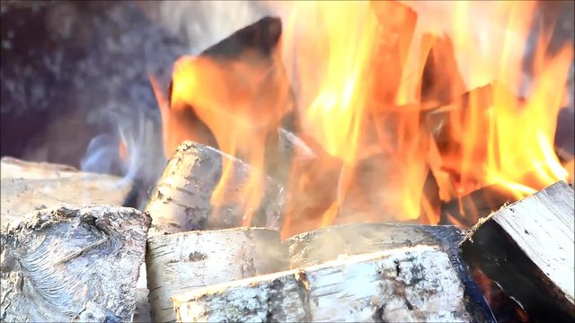Feuer mit birkenholz, erneuerbare energie
