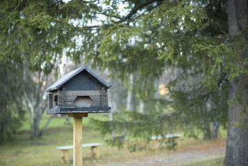 Small wooden houses for a bird's nest