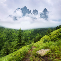 Grass in forest and mountains in mist.