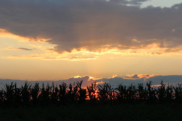 Dark summer decline above the village