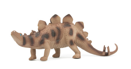 Stegosaurus dinosaur isolated