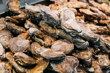 Big spanish shells on market store shop.