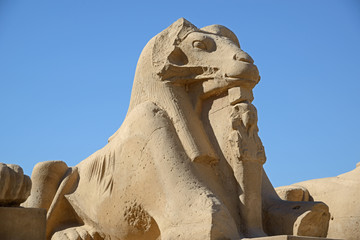 Karnak sphinx close-up