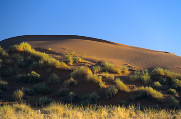 Fototapeta premium Namibia, Namib-Naukluft desert