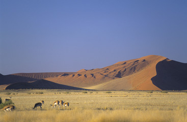Namibia,  Namib-Naukluft desert