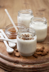 homemade yogurt from almond milk