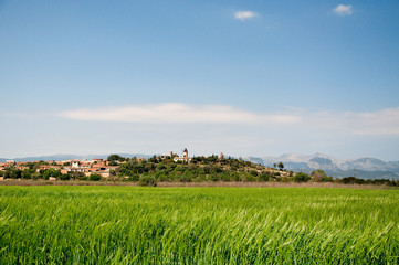 Obraz premium Mallorcinische Landschaft