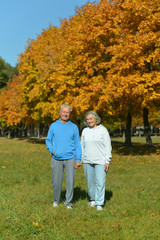 Mature couple in the autumn park