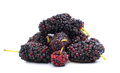 Mulberry isolated on white background