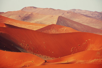 Plakat Namib