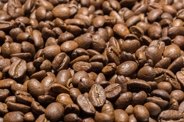roasted Arabica coffee beans