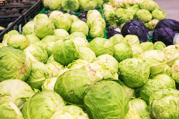 Obraz premium Fresh cabbage at farmers market