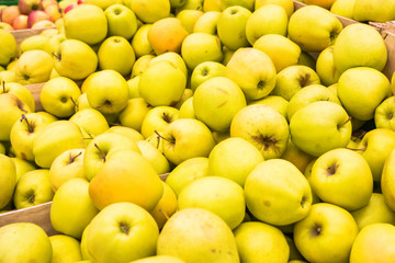 Red and yellow fresh apples